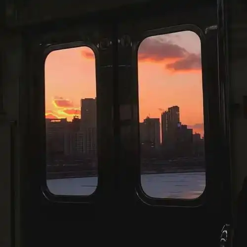 人类文明能进步,其实全靠不听话