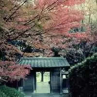 微信唯美风景头像女微信头像图片大全