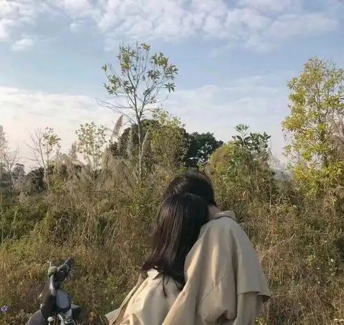 无标题