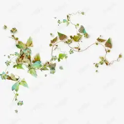 植物藤蔓素材图片免费下载高清装饰图案png千库网图片编号2707993