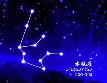 特别适合跟水瓶结婚的星座