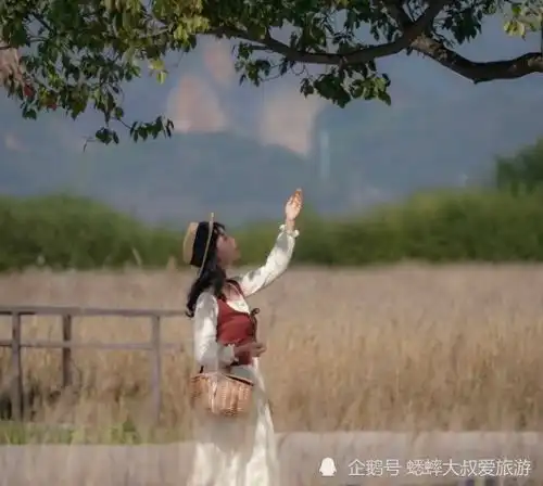 杭州六个冬季小众宝藏旅行地,各个争奇斗艳,随手拍皆亮朋友圈
