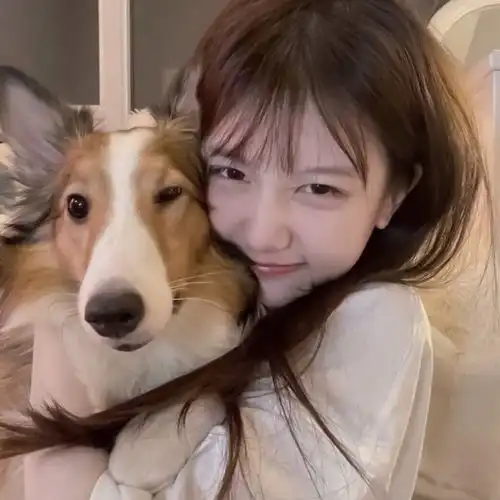 爱本无意义的wechat女头