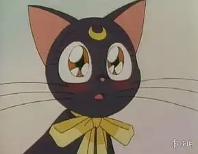 最可爱的动漫猫角色top10就算不是动漫迷都知道他