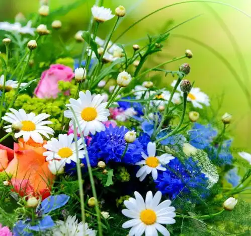 这3大生肖女,能手握万贯家财,幸福一生