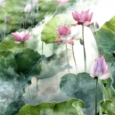 好看荷花微信头像,清新淡雅的荷花图片