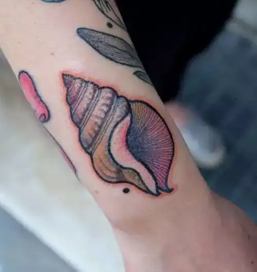 精品纹身图案大海的女儿美丽的贝壳纹身