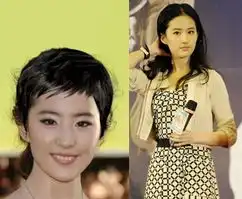 马伊琍赵薇章子怡周迅女星选错发型吓死人