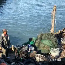 20210312大泉沟渔港地址,大泉沟渔港电话,大泉沟渔港图片360地图