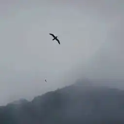 意境又旷达的男人微信头像