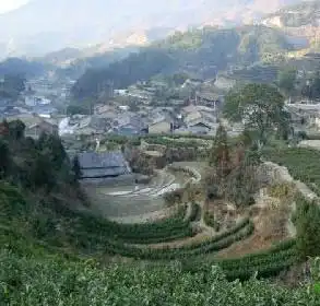 澄照乡