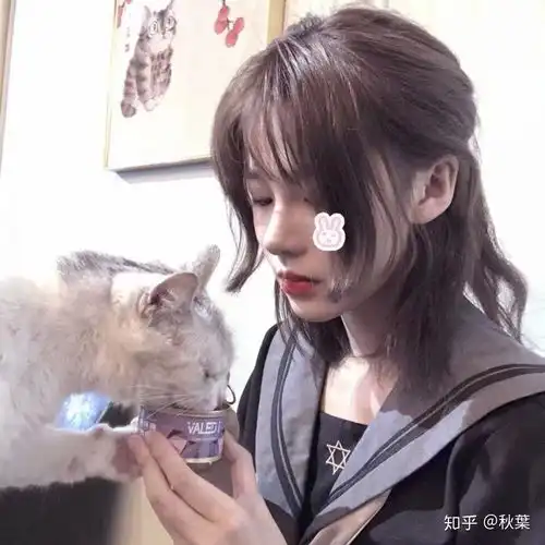 有没有集沙雕,霸气,幽默,冷酷,阳光,可爱,文艺于一体的网名或者头像