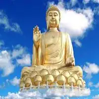 好看佛教的微信头像花图片微信头像图片大全