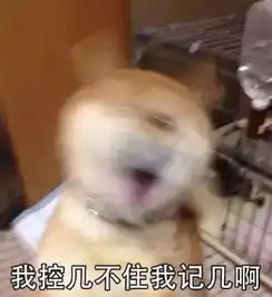 女子患重病,12岁儿子花光救命钱打赏给主播