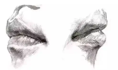 绘画教程嘴巴素描板绘画法,结构是关键