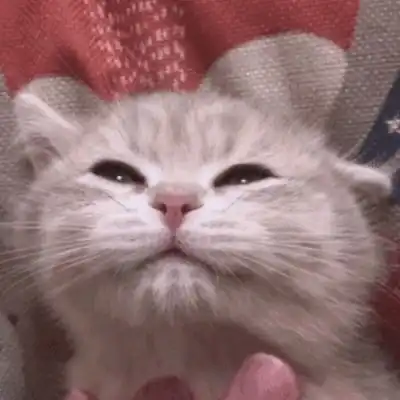 沈倦我这么可爱你都察觉不到微信头像我要个性网