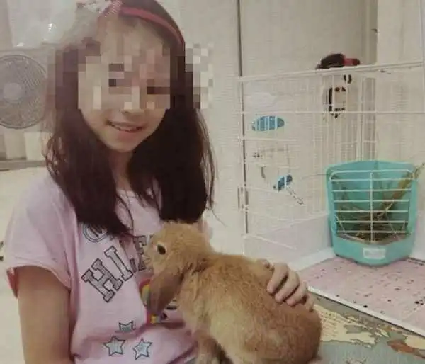 女子将宠物寄养宠物店,随后店家的1个失误,却引发众多网友争议