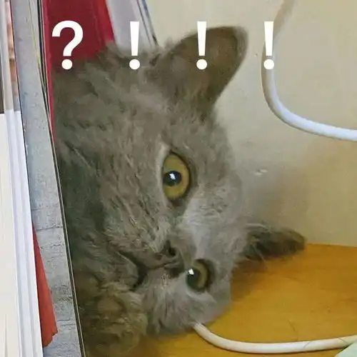 跌至16明天最冷,花都这次能入秋吗