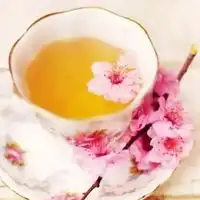 清茶图片唯美图片一盏一抹清茶唯美图片