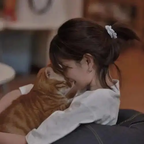 可爱好看的头像