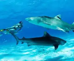 8月28日湘乡手机报