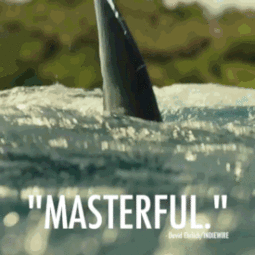 可爱少女头像真人图片鲨