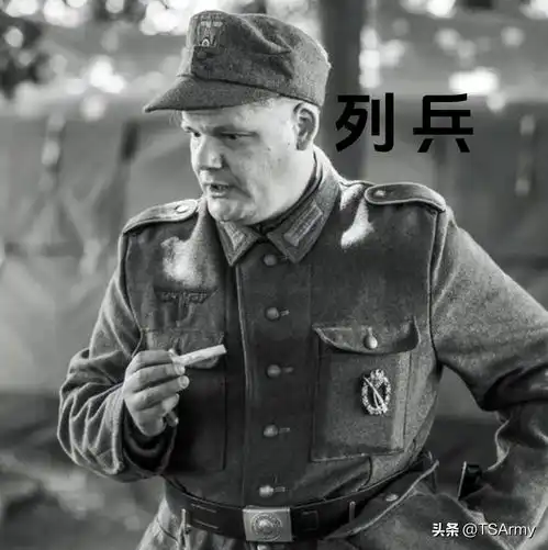 带你简单了解,二战德国陆军的军衔章