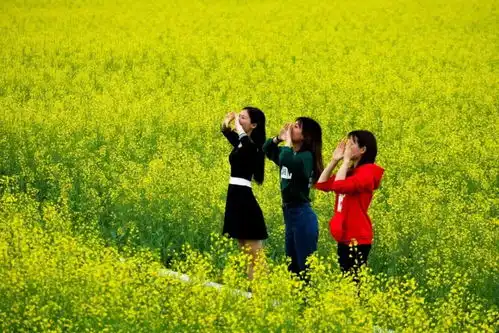 三水这个地方也太太太太太好看了每一张都可以做壁纸