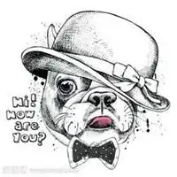 团队头像创意微信头像图片大全