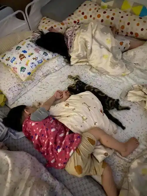 女儿和猫待久后,现在这样睡觉,感觉怪怪的