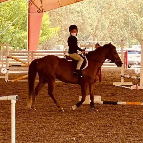 阿耶莎晒大女儿莱利骑马庆祝8岁生日照