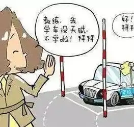 女学员科目二考了整整14年终于放弃驾校校长太好了