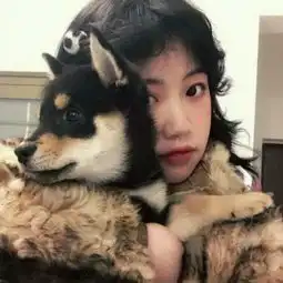 清新女生数字公式头像算出你的样子