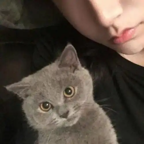 超漂亮的女生抱着萌宠合照头像