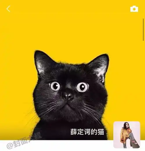 抖音必火的十张朋友圈图片