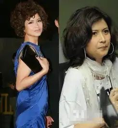 孙俪范冰冰林志玲李小璐王菲刘亦菲女神奇葩发型毁一生