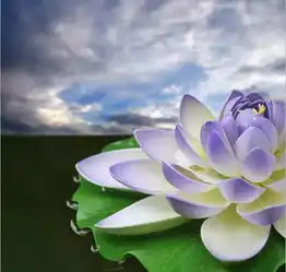 说话是最容易的事,也是最难的事所谓良言一句三冬暖,恶语伤人六月寒美篇