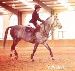 女孩,为什么要骑马