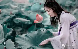 穿越千年缙云女子怀梦绽放如初莲