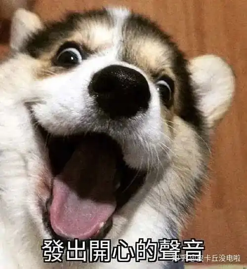 请问老年人适合什么样的钙片