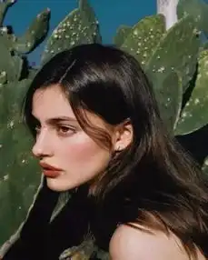 像刘诗诗和刘雯这样腮红叠高光,不吸引人都很难