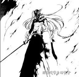 黑崎一护的终解