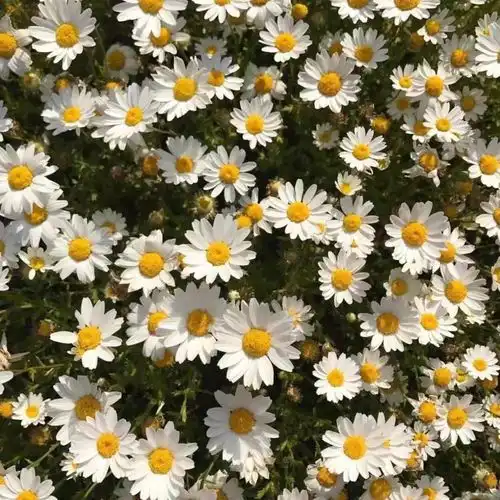 欠缺的感情相处常识