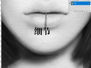 北欧抽象手绘黑白美女人物油画现代艺术家居装饰画图片设计素材高清模板下载8.55mb其他大全