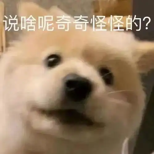 网友分享现实世界中的二次元地名,这是真实的吗还是p图的呢