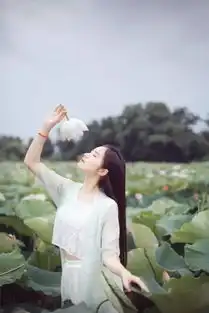 以前,打扰了以后,不会了