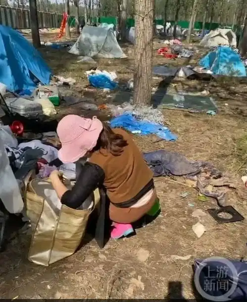 从女主持含泪控诉地域黑五问南阳音乐劫应对为何遭质疑