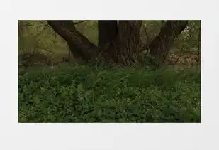绿色草地河边大树刮风实拍视频素材下载mp4格式19201080像素熊猫办公