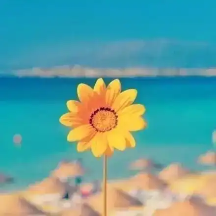 最走心的正能量励志语录,不忘初心,奋力前行