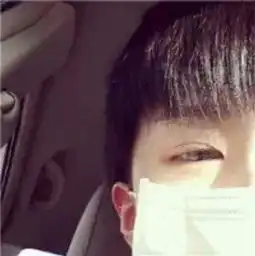 china叶子照片china叶子相册大全yy官方